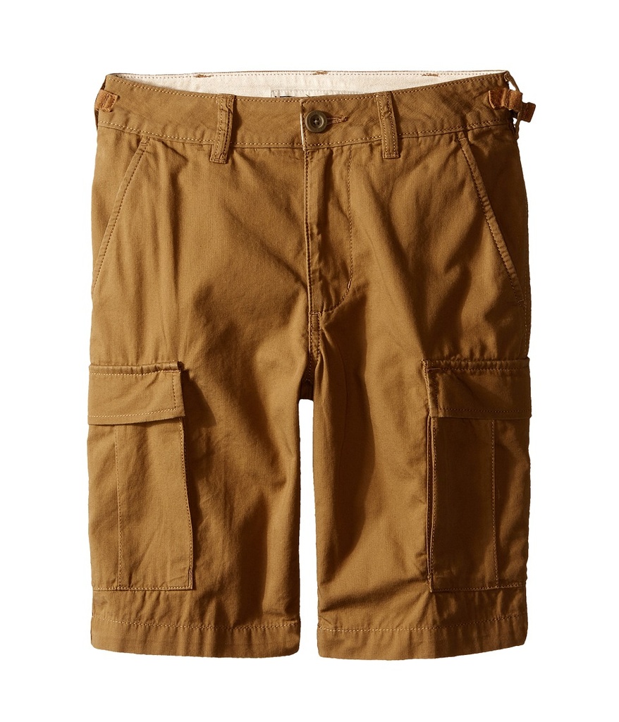 Vans Kids - Tremain (Little Kids/Big Kids) (Dirt) Boy's Shorts